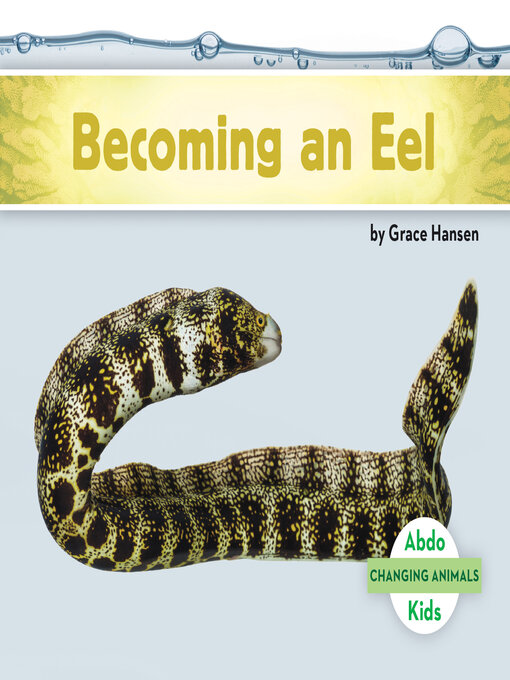 Title details for Becoming an Eel by Grace Hansen - Available